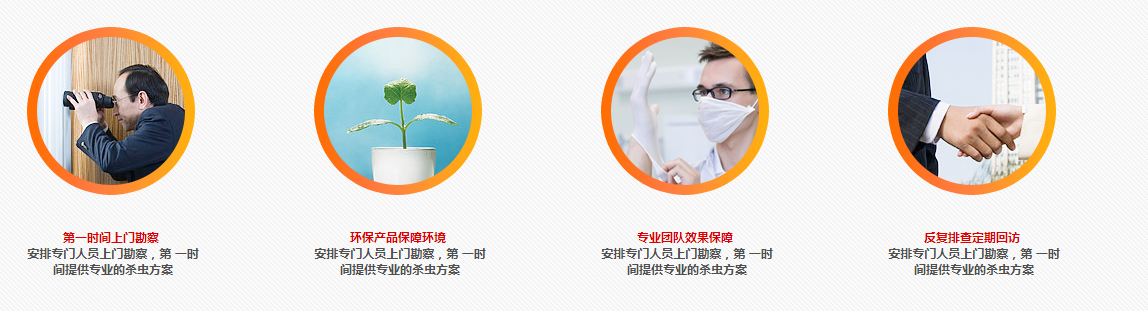 深圳滅鼠公司