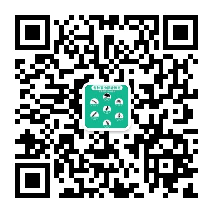 深圳消殺公司聯(lián)系方式