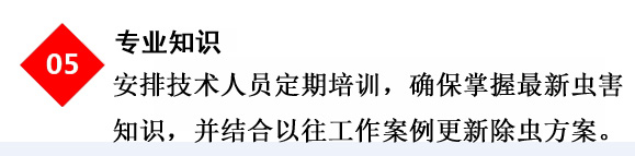 專(zhuān)業(yè)殺蟲(chóng)公司