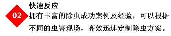 專(zhuān)業(yè)滅鼠公司的殺蟲(chóng)滅鼠技術(shù)人員提供快速消服務(wù)殺服務(wù)